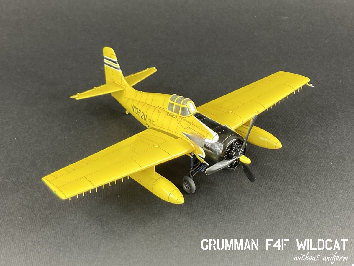 wildcat_01g.jpg