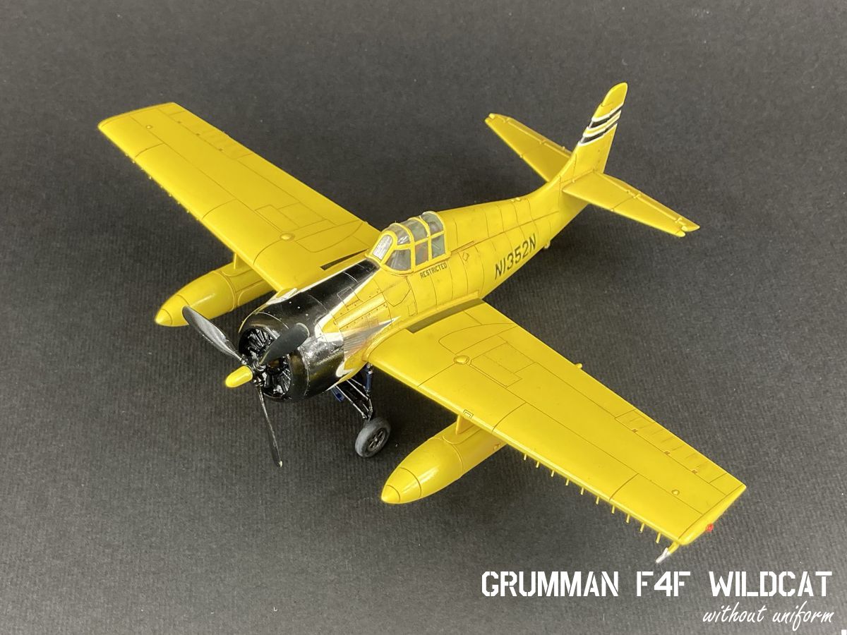 wildcat_02g.jpg