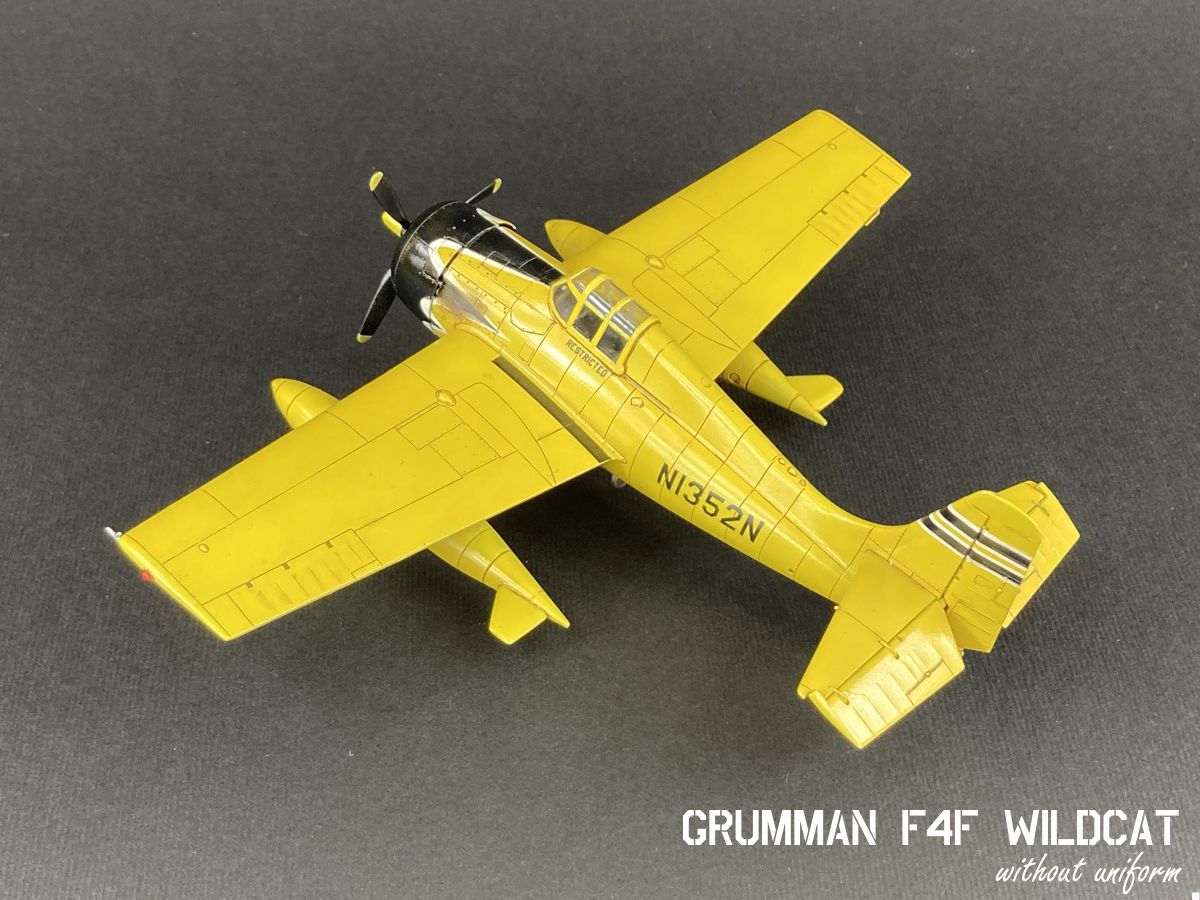 wildcat_03g.jpg