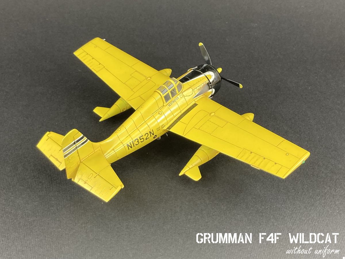 wildcat_04g.jpg