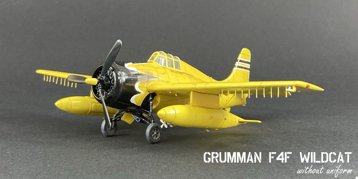 wildcat_17g.jpg