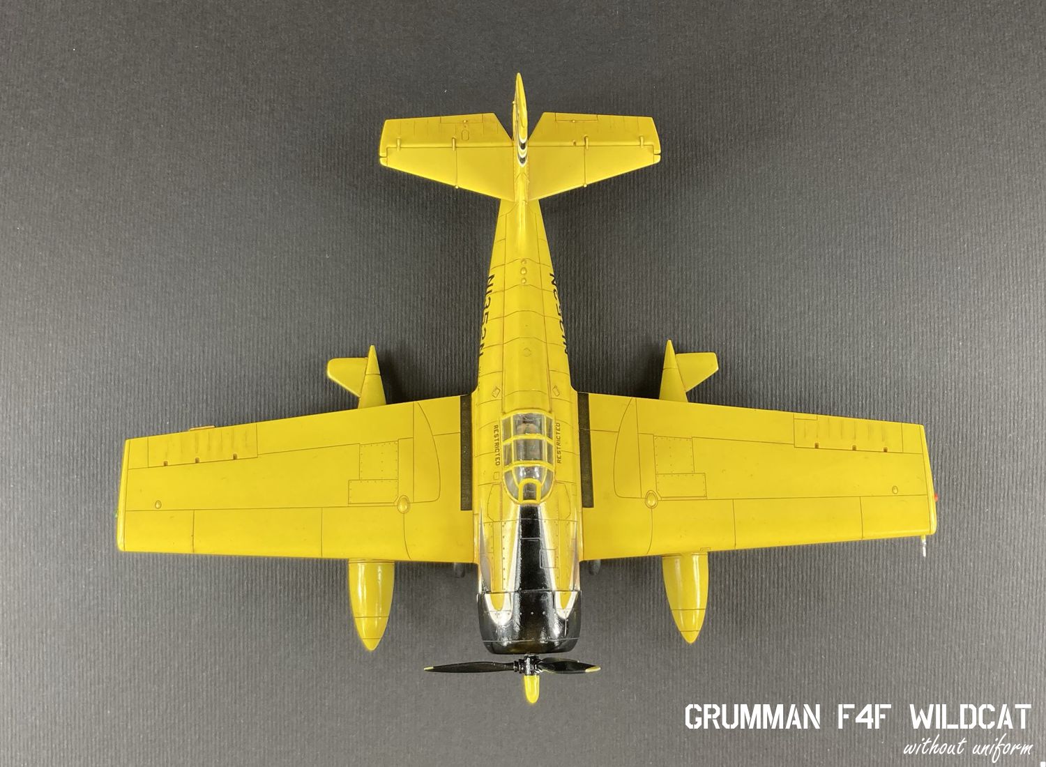 wildcat_21g.jpg