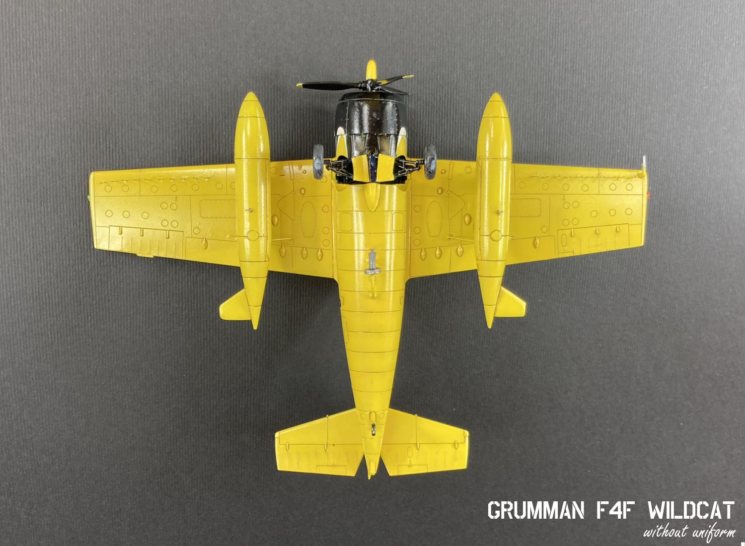 wildcat_22g.jpg
