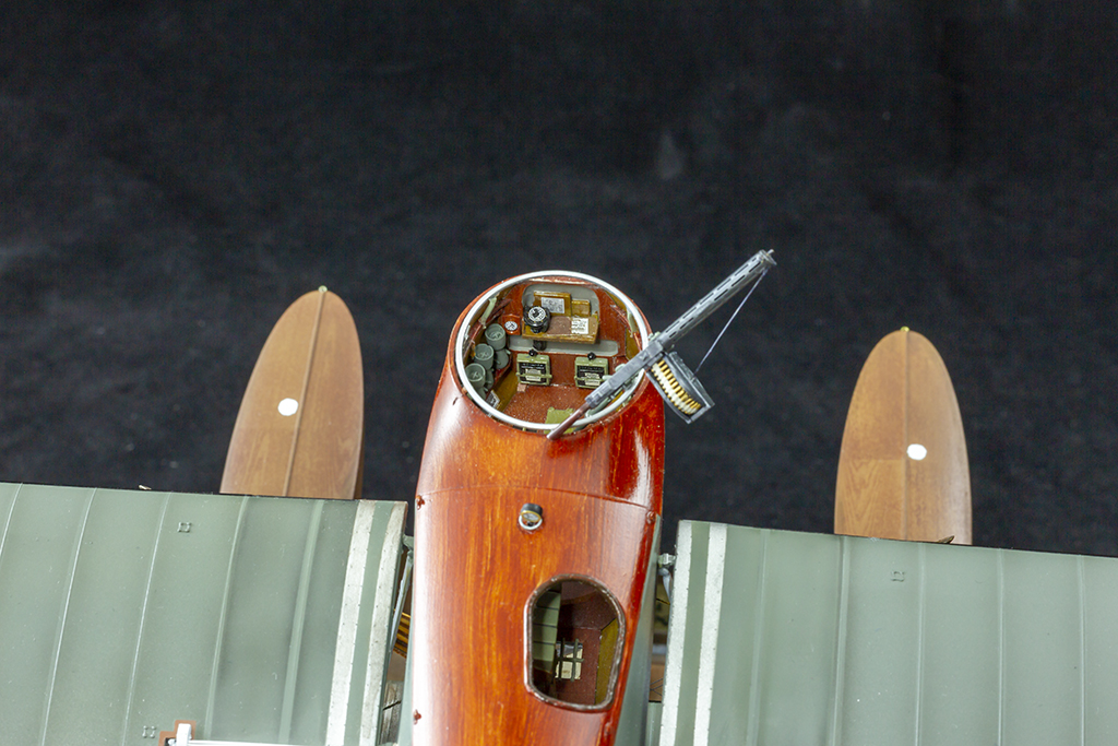 OSTR9544.jpg