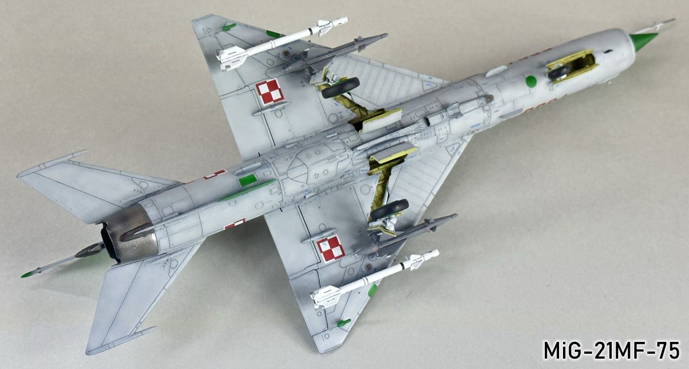 MiG-21MF-75 110g.jpg
