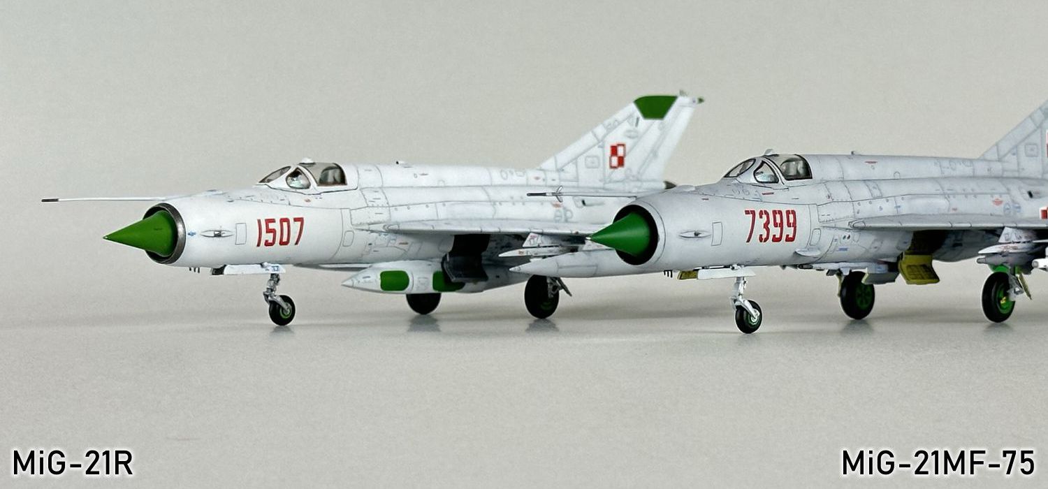 MiG-21R 141g.jpg