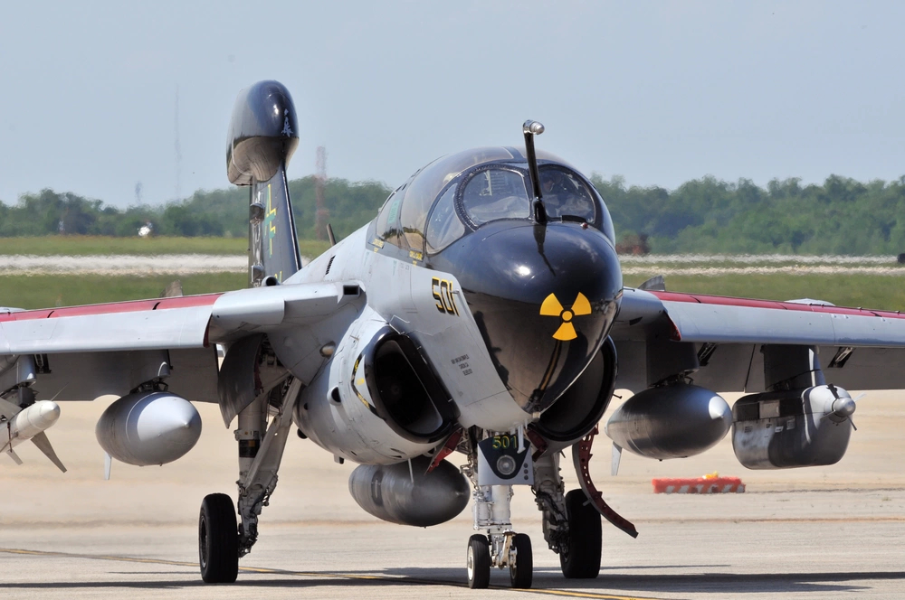 1000w_q951 — kopia.jpg