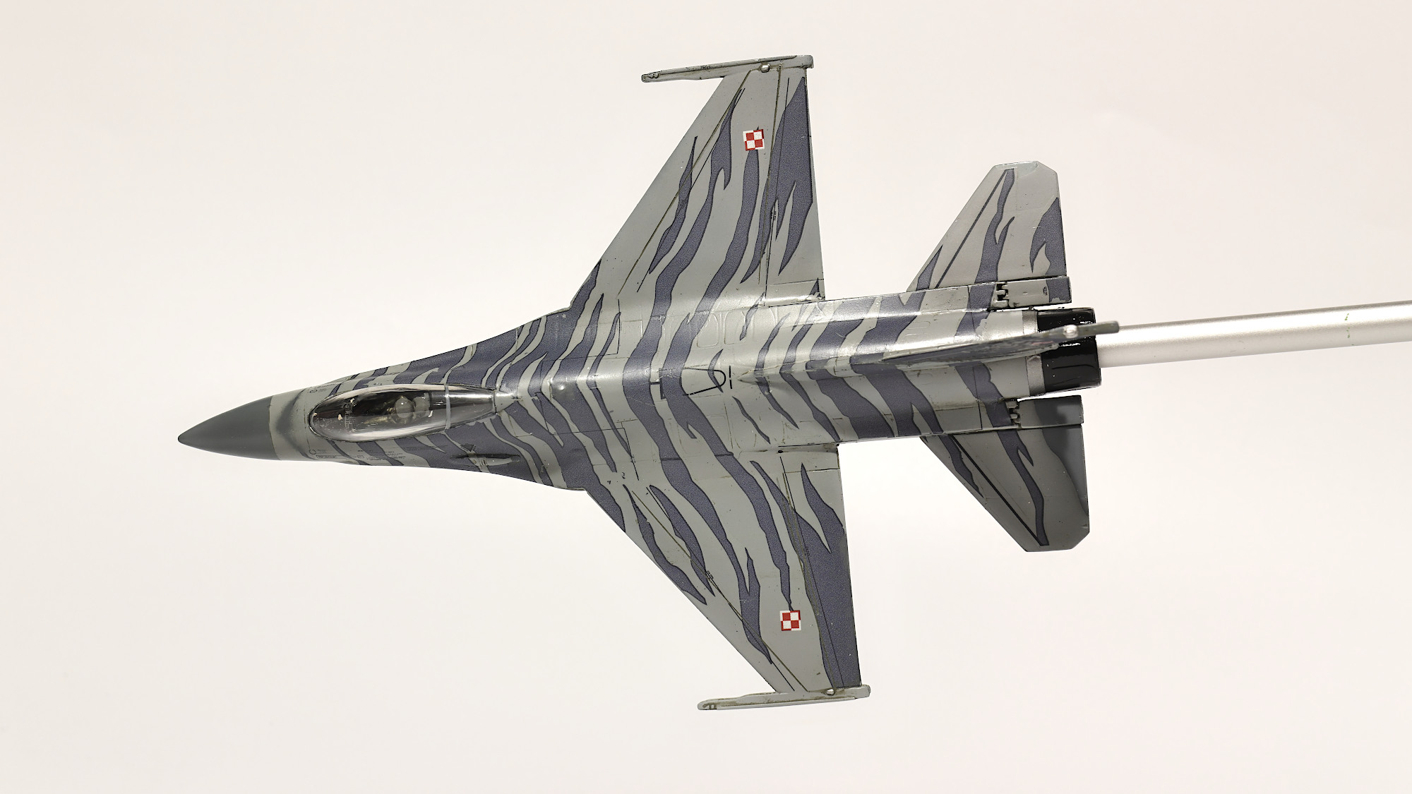 F-16T_6.jpg
