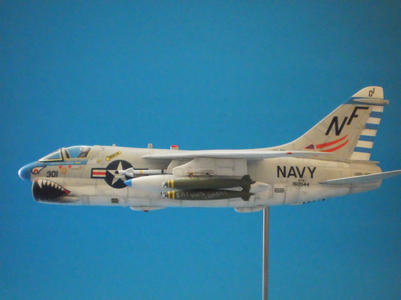 P7100056.JPG
