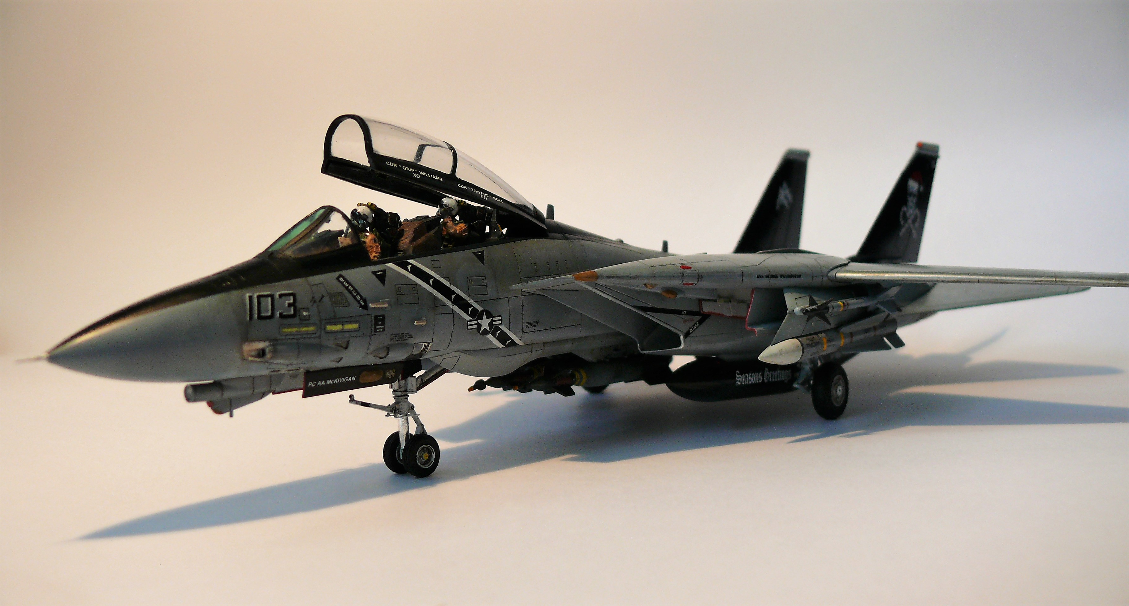F-14_4.jpg
