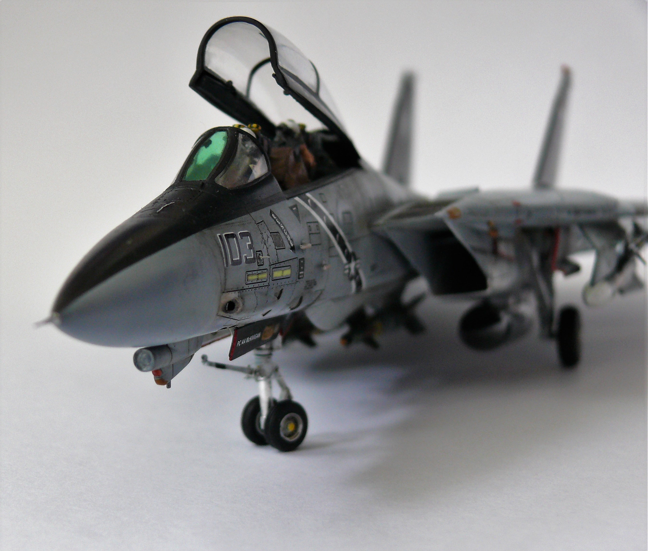 F-14_13.jpg