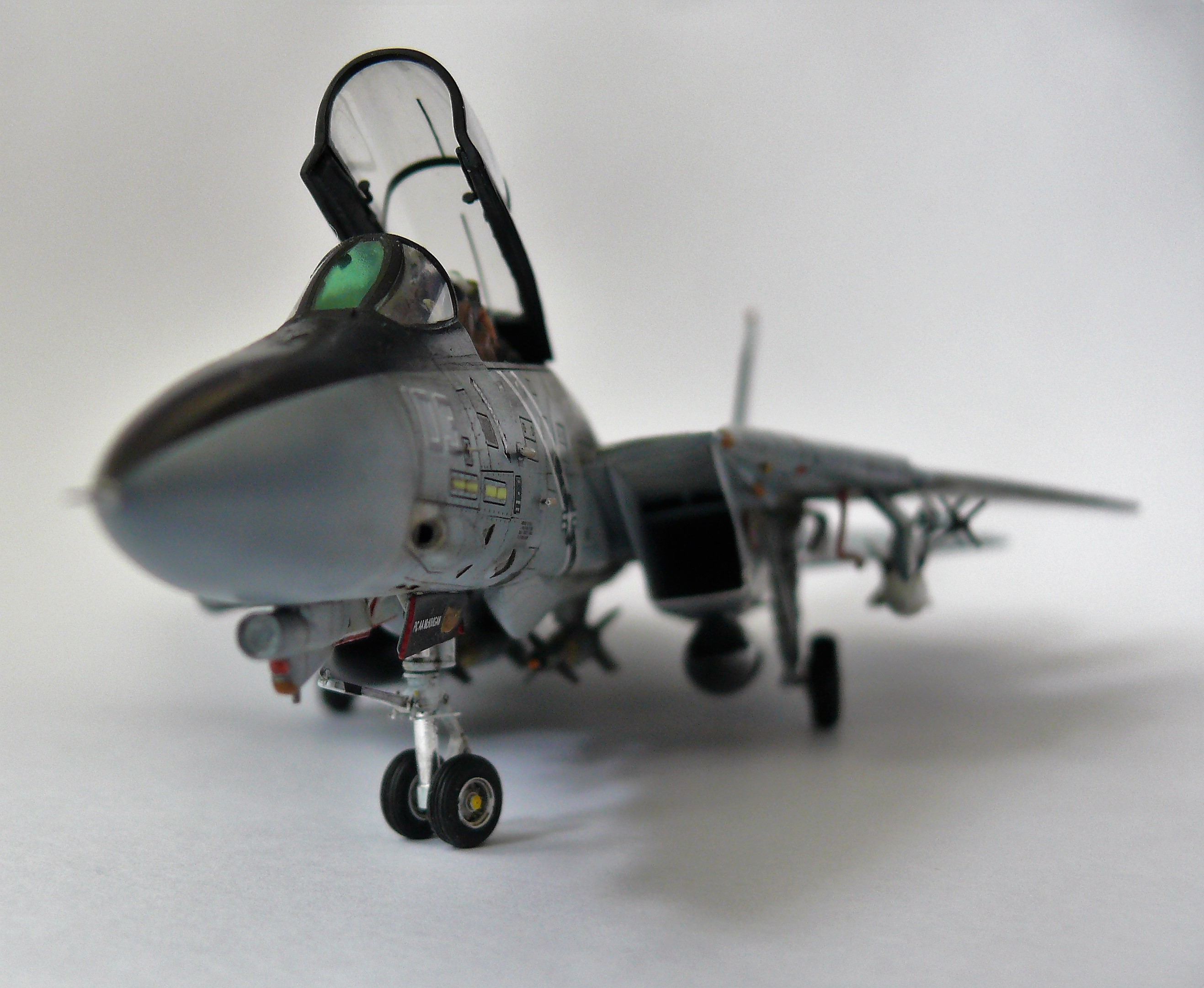 F-14_19.jpg